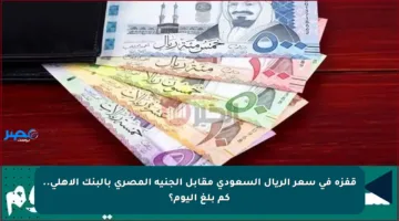 قفزة في سعر الريال السعودي مقابل الجنيه المصري بالبنك الأهلي.. كم بلغ اليوم؟